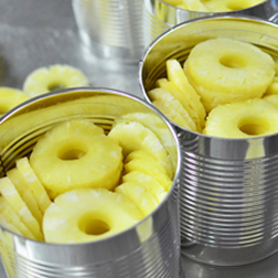 Pineapple - Sliced in Natural Juice